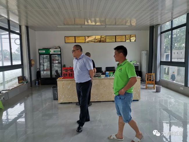 黄梅文化魅力探寻，最新消息与未来发展展望