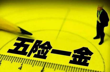 五险深度解析与实际应用指南