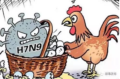 H7N9最新疫情深度剖析