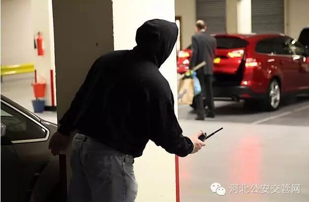 最新小偷现象与社会影响深度探讨
