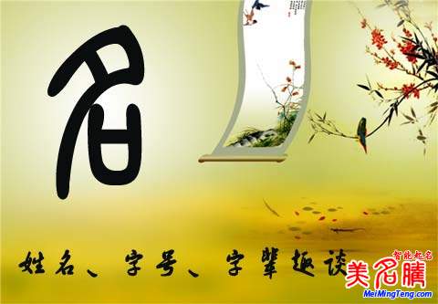最新取名大全，探寻名字背后的文化与艺术内涵