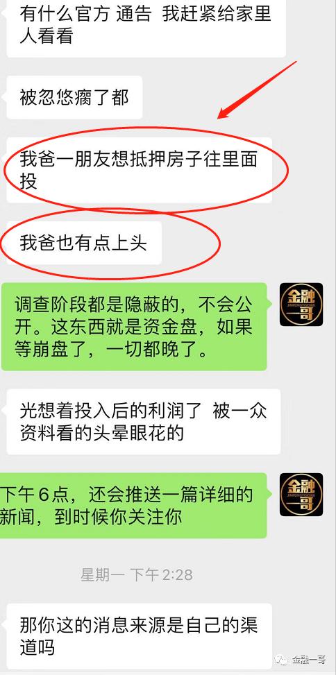 TR外汇最新动态解析，市场趋势与交易策略深度剖析