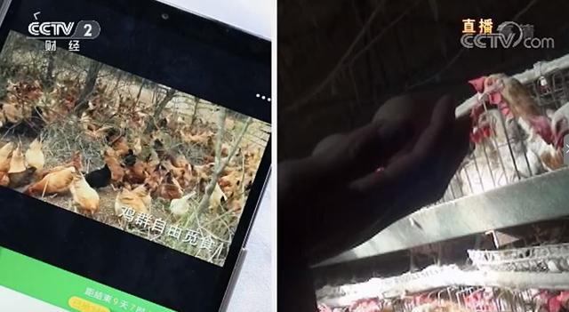 揭秘消费者权益保护日，最新进展与行动聚焦