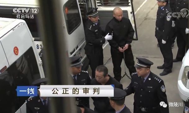 城市新现象揭秘，坐盗市的最新动态与深度解析