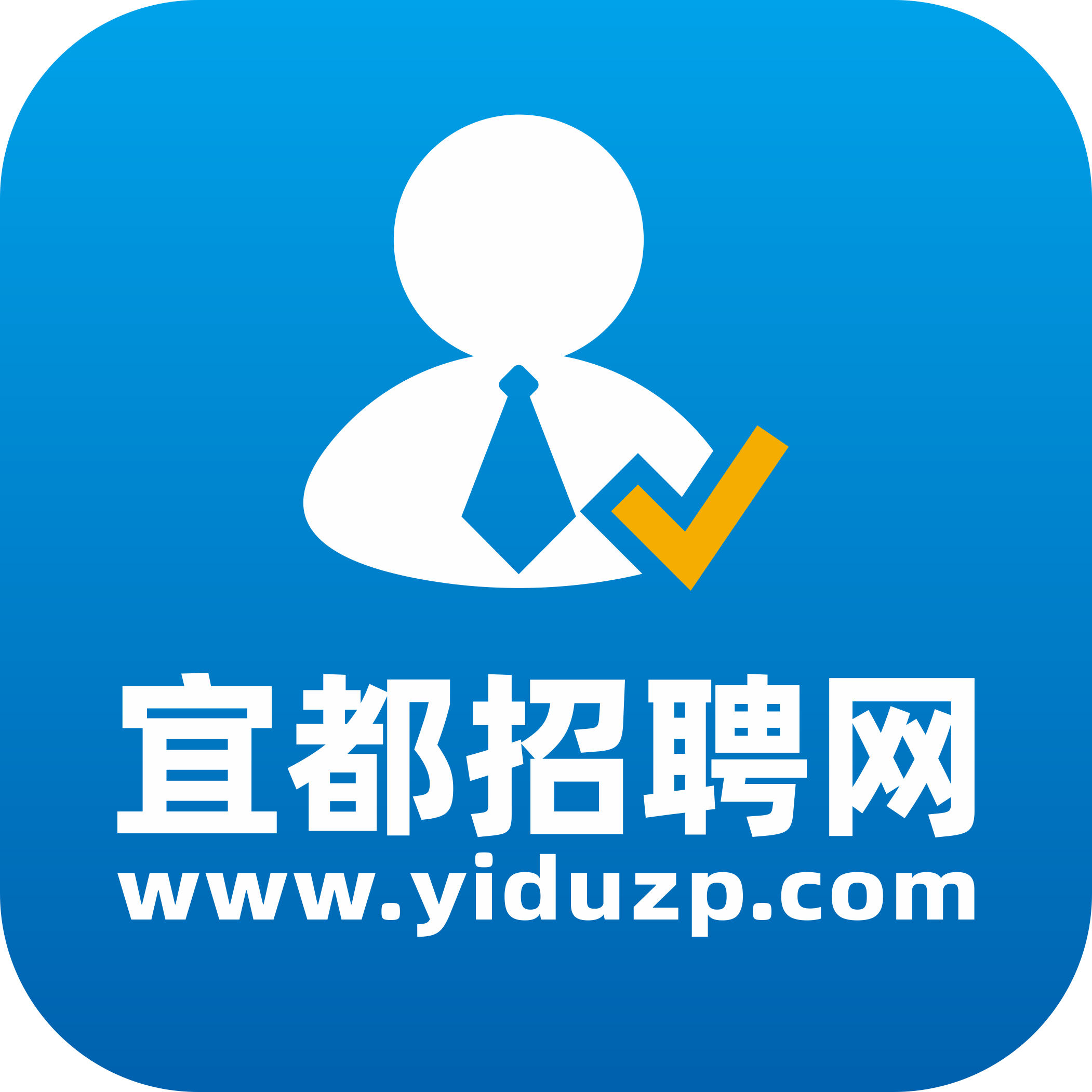 宜城招聘网最新招聘动态深度剖析