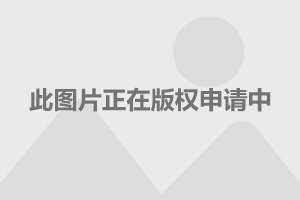 最新宝马X1车型价格详解