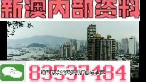 新澳门全年免费料,新澳精准资料期期精,合理决策执行审查