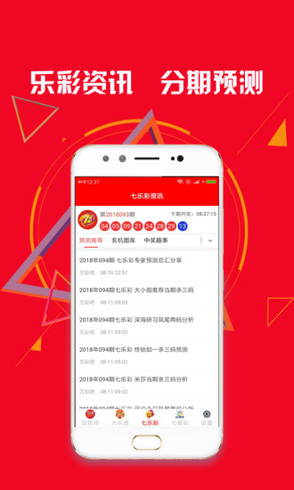 新澳门2025开奖结果查询,实地说明解析