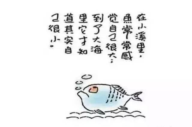最新哲理启示，探索人生的无限可能性