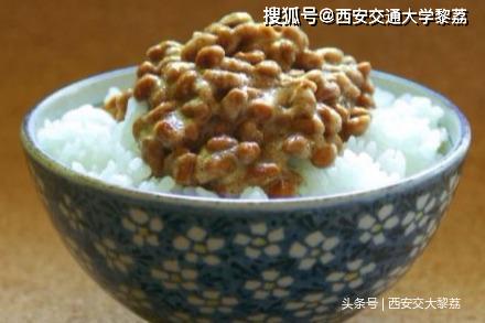 日本种子科技的新探索与未来展望