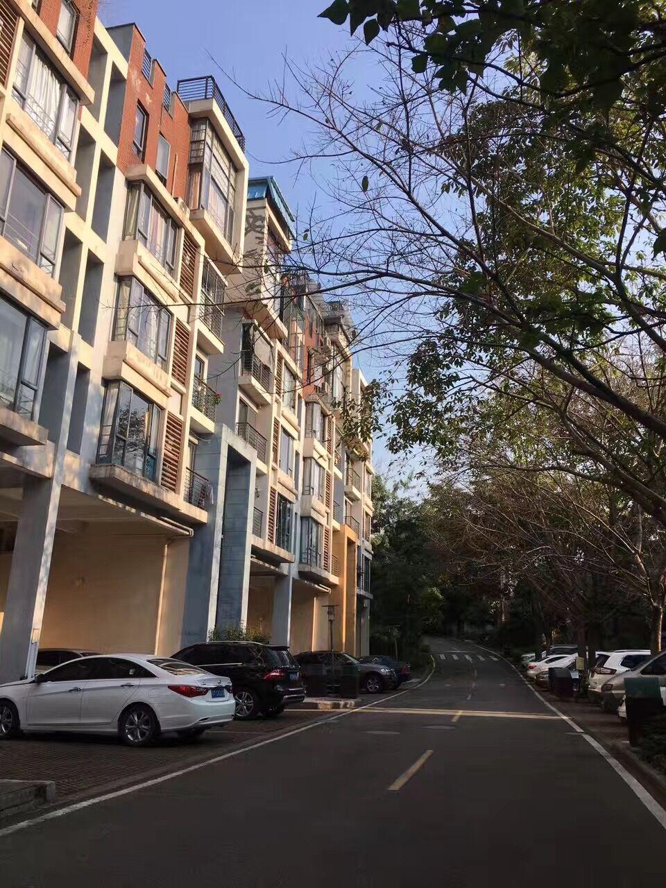 新时代社交互动模式探索，最新拍拍拍风潮