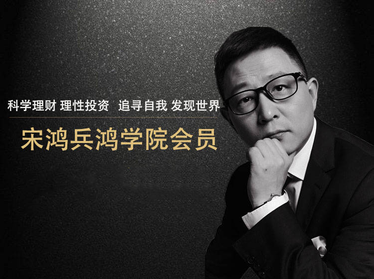 宋鸿兵最新视频，全球经济动向深度解析