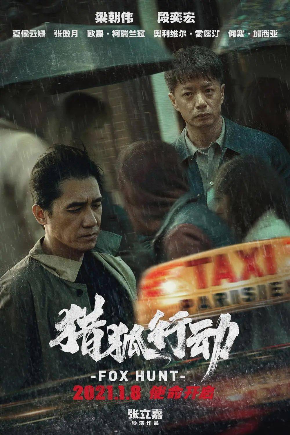 最新电影概览，探索电影的魅力世界