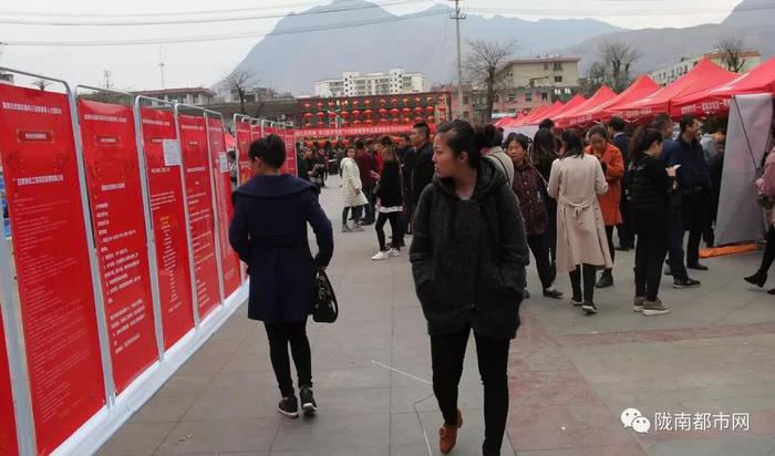 武都招聘网最新招聘动态深度解读报告