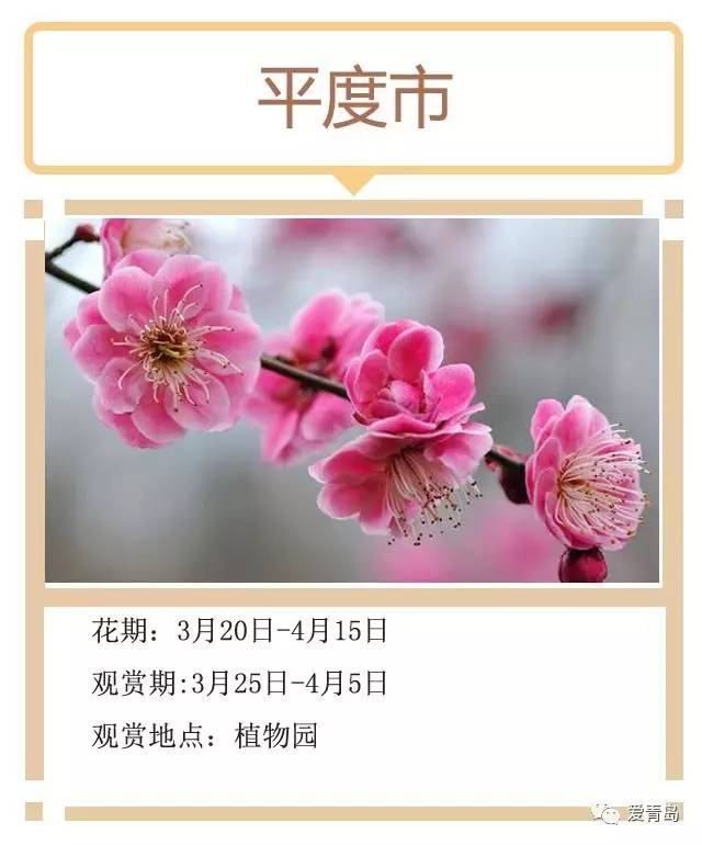 春暖花开吧最新地址，探寻美好栖息地的希望之旅
